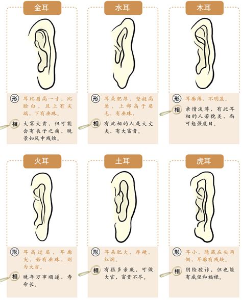 面相 耳垂|十六种耳朵面相图文分析三六风水网